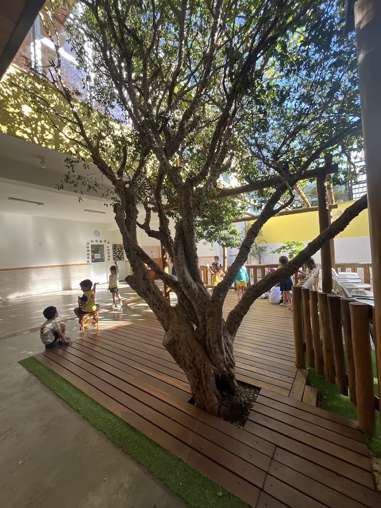 Deck da Jabuticabeira