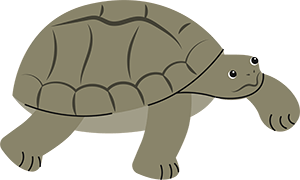 Tartaruga